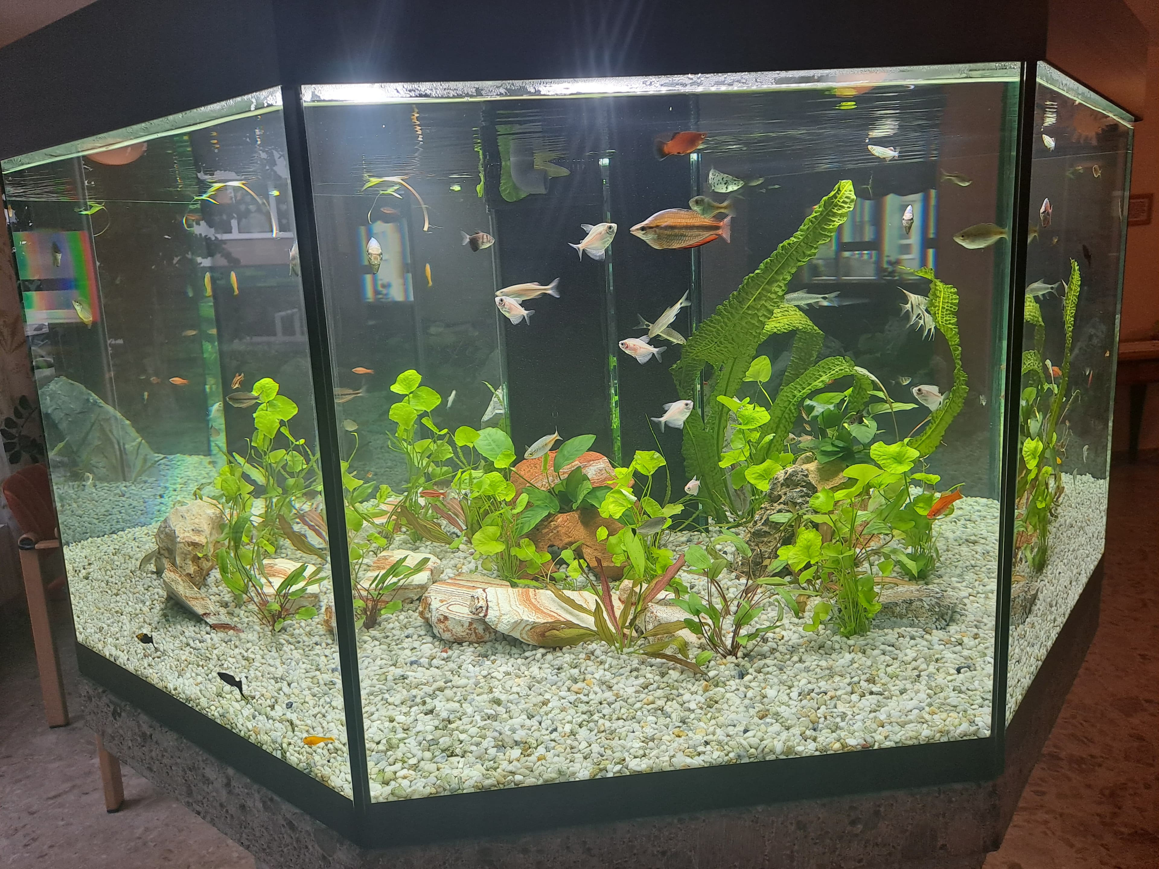 Der Eingangsbereich – Bild 3 von 3